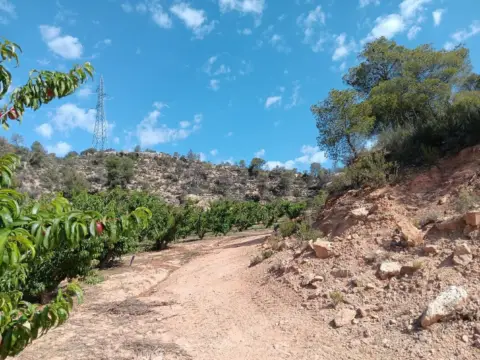 Finca rústica en calle Partida Vall de Amet, nº Sn